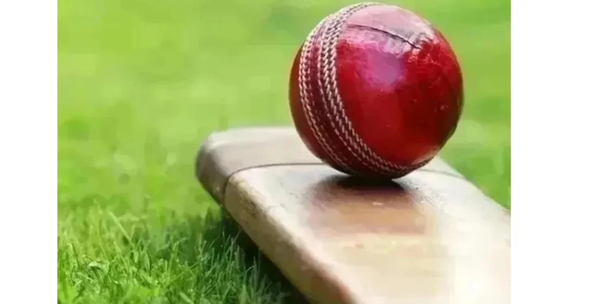 Untitled design RCD vs TT Live Score, Red Carpet Delhi vs Telangana Tigers Live Cricket Score, 15th Match, Indian Veterans Premier League 2024
